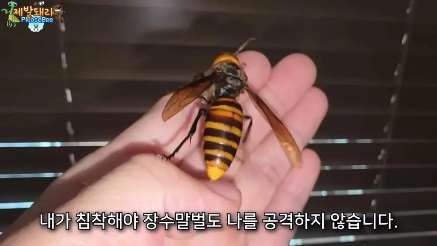 20260811150106_owJiEioPxJ.jpg