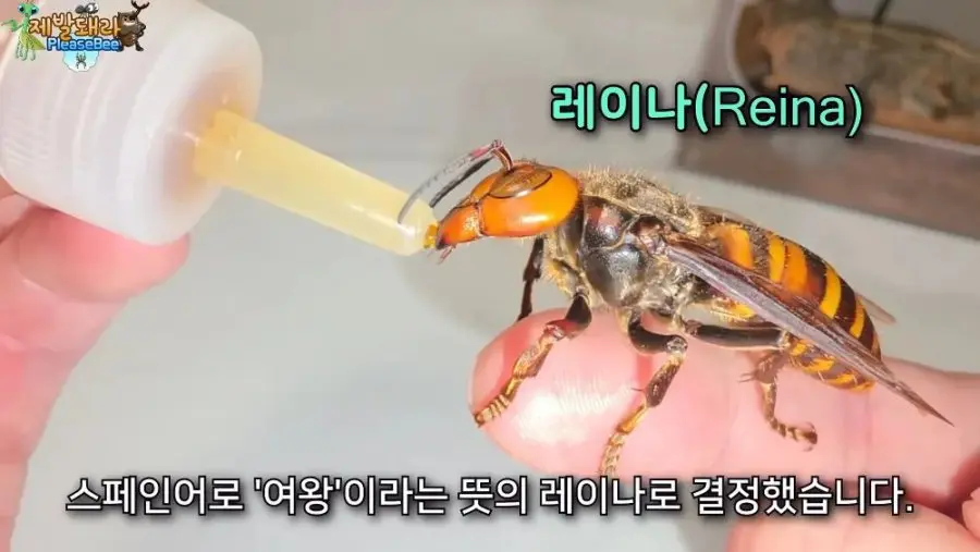 20260811150111_tHkMRBBzWf.jpg