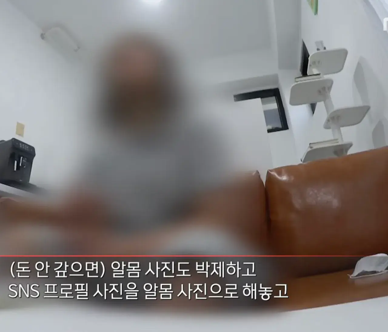 image.png 도박으로 3억 잃은 19세 소녀 ㄷㄷㄷㄷㄷ