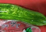 도대체 양주 햇살이 얼마나 뜨거웠던건지 감도 안잡힘