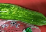 개쩌는 양주 햇살 수준