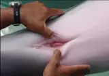 ㅇㅎ) ㄷㄱㄹ 뷰지