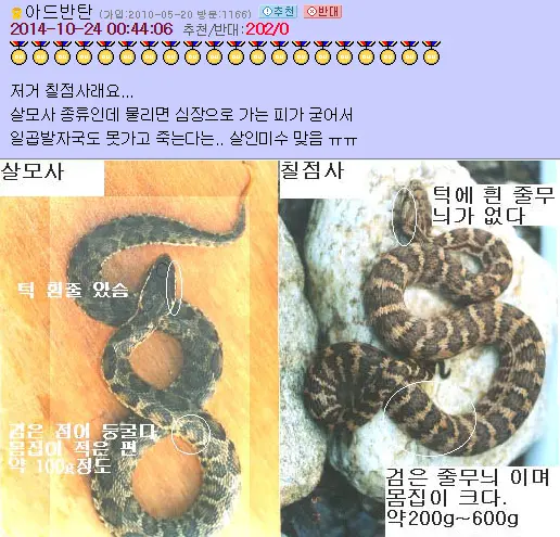 소름) 무시무시한 중고거래 상품.jpg