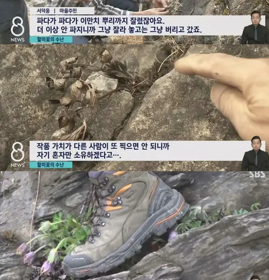 20260813105551_3X5BV9ohnA.webp