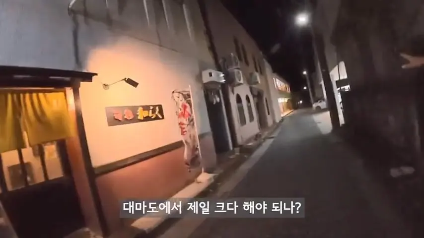 일본인도 안가는 일본 섬에 한국인만 넘쳐나는 이유가 뭘까.mp4_20260813_095641.517.jpg