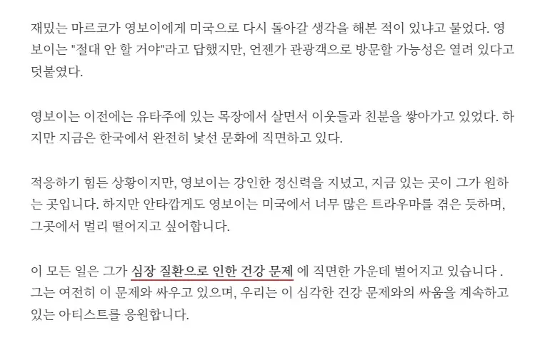19ff8e0fe81484f84.webp