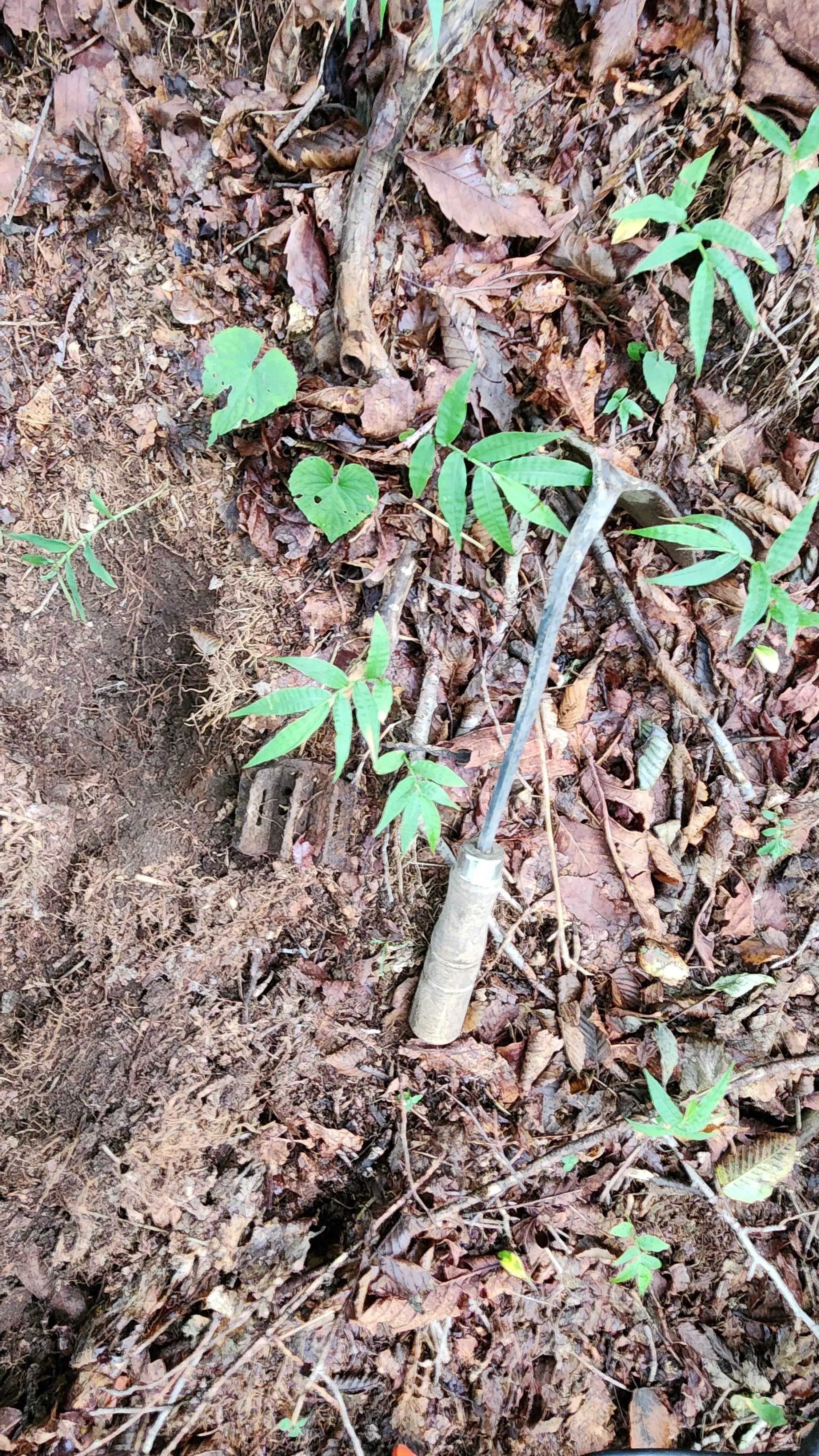 resizeImage_220240815_091440.jpg