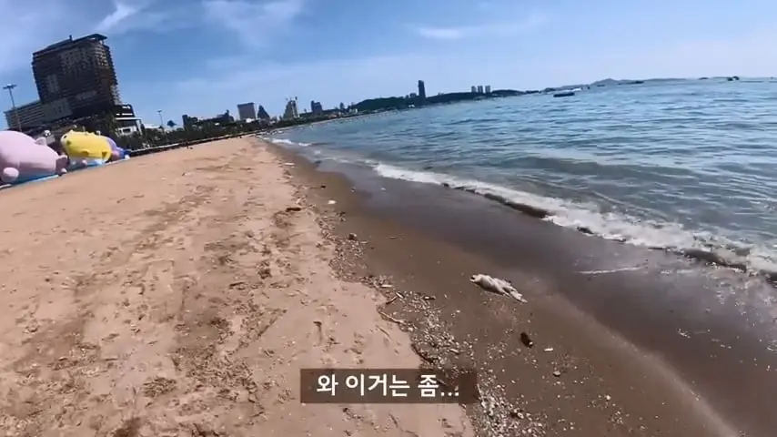 한국인 관광객이 사라져버린 태국 파타야의 충격적인 현재 근황.mp4_20260813_103609.491.jpg