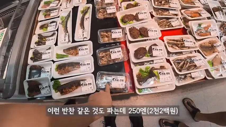 일본인도 안가는 일본 섬에 한국인만 넘쳐나는 이유가 뭘까.mp4_20260813_093136.335.jpg