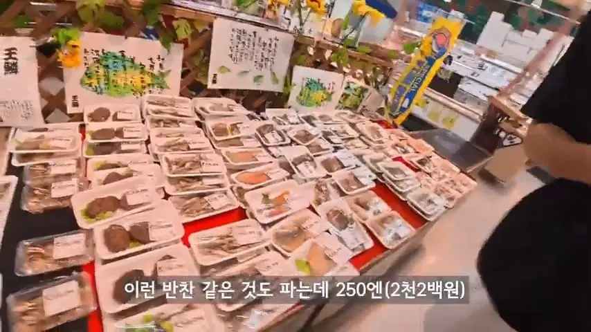 일본인도 안가는 일본 섬에 한국인만 넘쳐나는 이유가 뭘까.mp4_20260813_093133.943.jpg