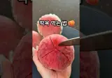 딱딱한 복숭아 씨만 빼고 깔끔히 자르는 방법