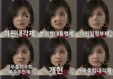 분권형 권력구조의 다양한 모습