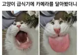고양이 급식기에 카메라 달아봄.jpg