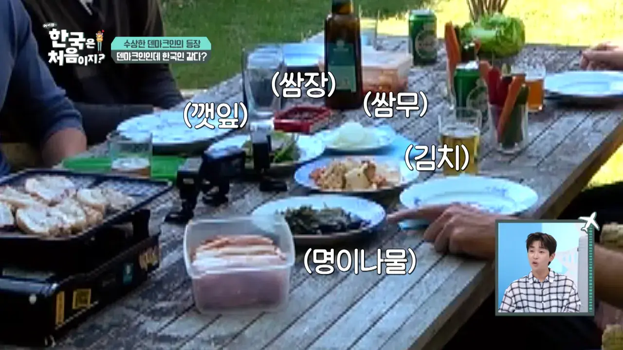 111ffd72d864067cdd10073569ddbab2.png 한국을 너무 좋아하는 덴마크인.jpg