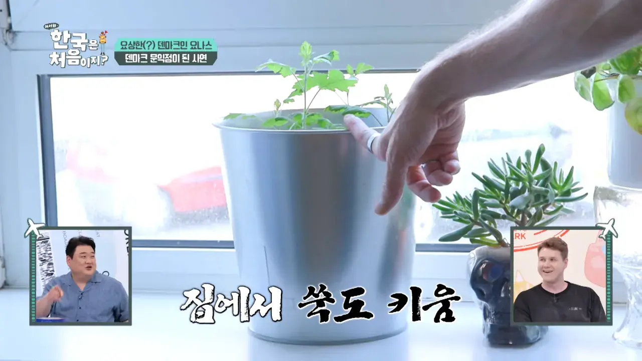 7f6b99afaaf117566edffc3684154e6a.png 한국을 너무 좋아하는 덴마크인.jpg