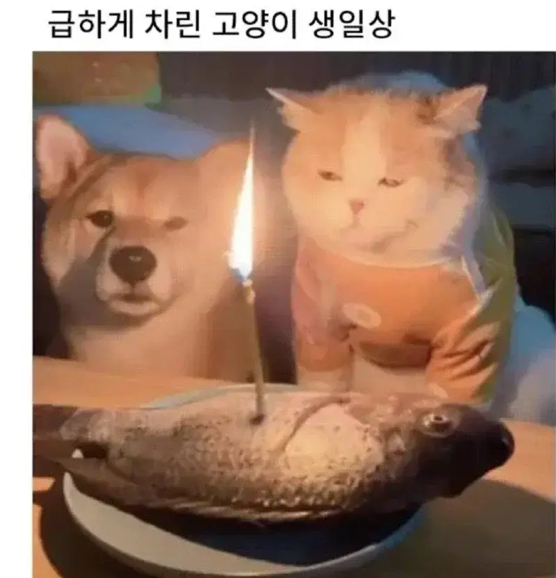 20260814220815_WKaJgjpYr7.webp
