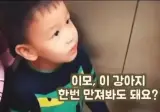 이모, 이 강아지 한번 만져봐도 돼요??