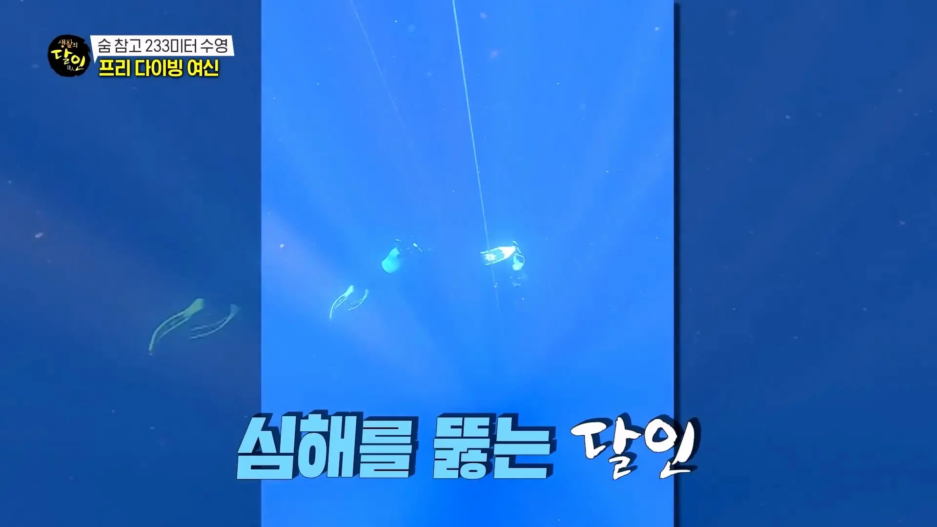 [생활의달인] 숨 참고 프리 다이브🥽 아이돌 그룹 출신 프리다이빙 달인 #생활의달인 #달리_20260815_221529.842.jpg