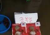 돌아가신 문어 30퍼센트 할인 jpg