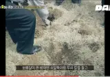 1999년에 발각된 이순신 장군묘에 식칼과 쇠말뚝박기