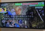 일본 : 사도광산 조선인 강제동원은 오해가 있다