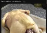 논란의 남편을 위한 몸보신 요리 ㄷㄷ