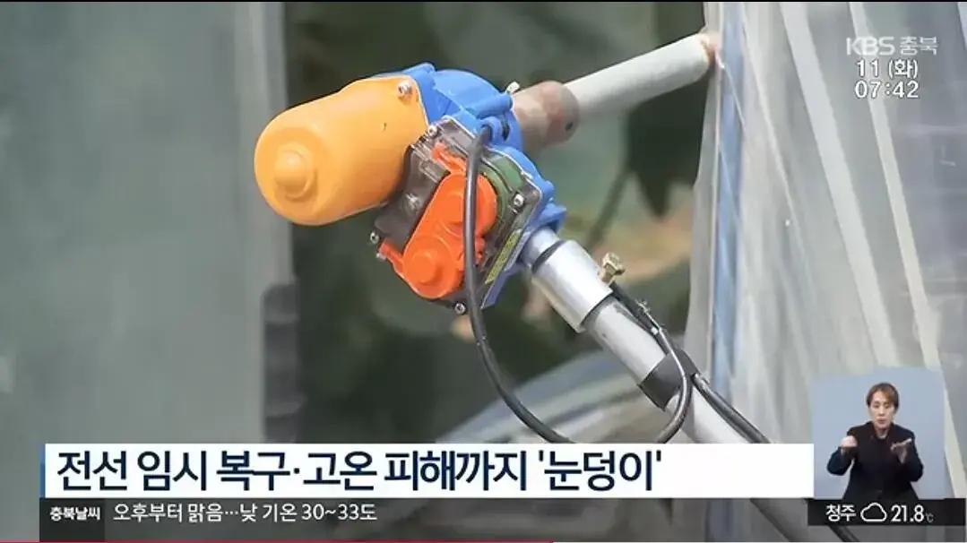 Screenshot_20260816_155717_YouTube.jpg 석달간 진천 농가를 벌벌떨게한 전선절도범 범인은..