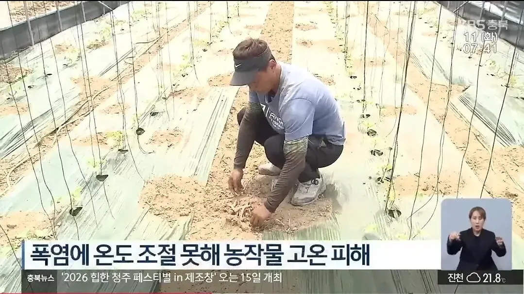 Screenshot_20260816_155629_YouTube.jpg 석달간 진천 농가를 벌벌떨게한 전선절도범 범인은..