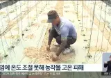 석달간 진천 농가를 벌벌떨게한 전선절도범 범인 찾음