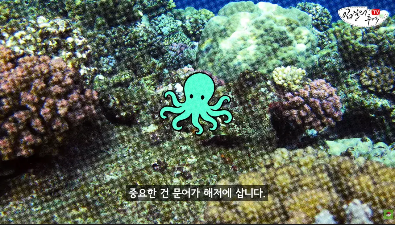 캡처_2026_08_14_19_58_49_554.png 문어 사먹을 때 조심해야 하는 것 ㄷㄷㄷㄷ