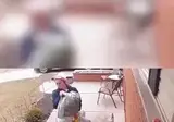 동네 청설모한테 밥을 줬더니 생긴 일.gif