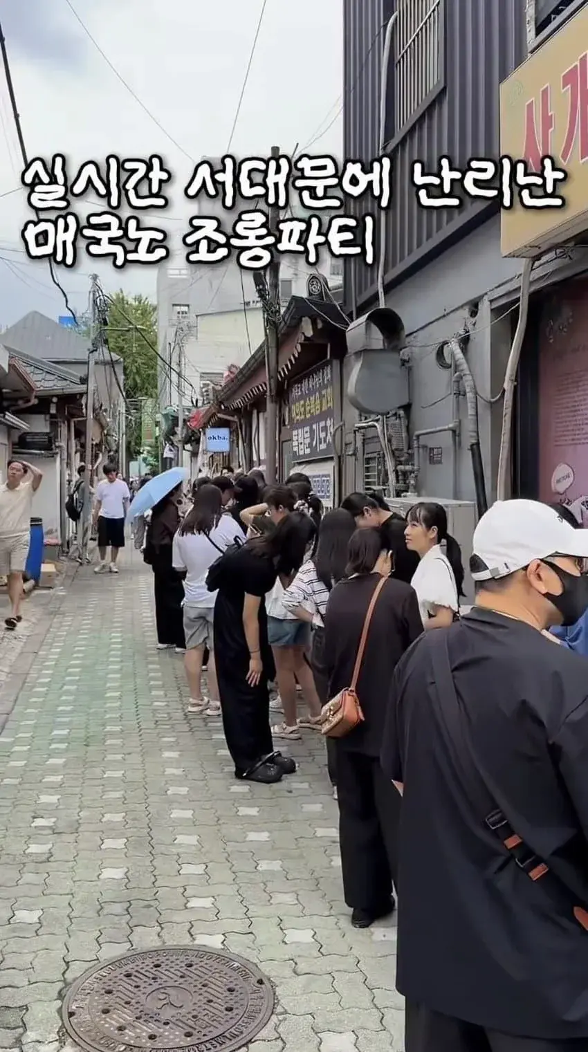 20260817131219_a3K1HQusp0.webp