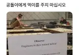 공돌이에게 먹이를 주지 마십시오