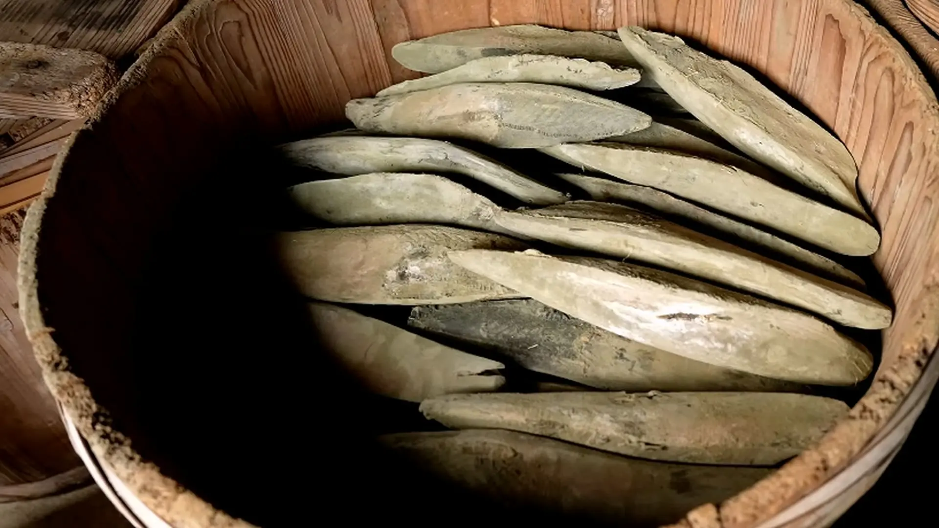 Traditional Japanese Dried Bonito, Katsuobushi_20260817_205426.955.jpg