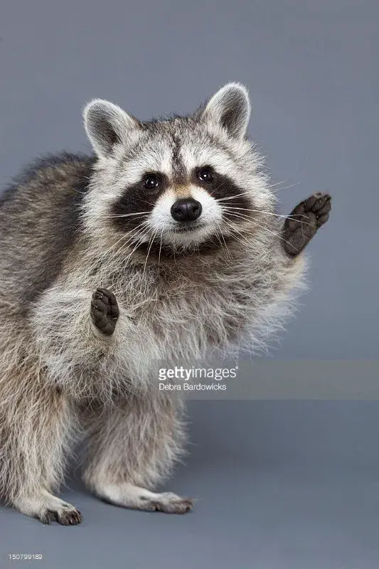 iHhkZU3IxdbpjnbaQs3I95XipMBmc_WuldDxcaLZ6zh8rDKA2Lhw6nkC8f6J2R6MnIIBVLD5J36jyR1JyHCoA.webp