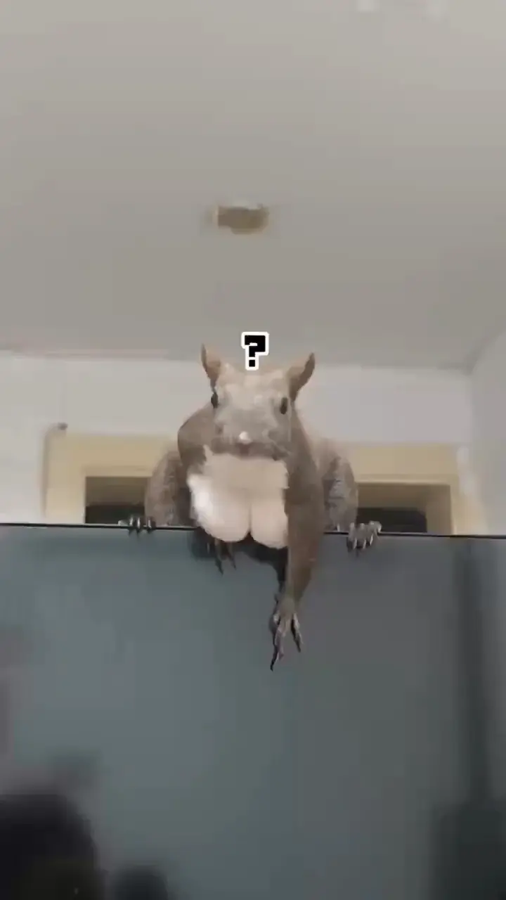 Honeycam 2026-08-18 15-10-42.webp