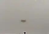 " 결국 특이점이 온 청설모의 유방 .... " . GIF