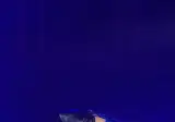 2026 kcon la meovv 수인 직찍