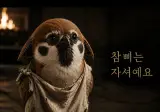 마이크의 위치가 너무 신경쓰인다..