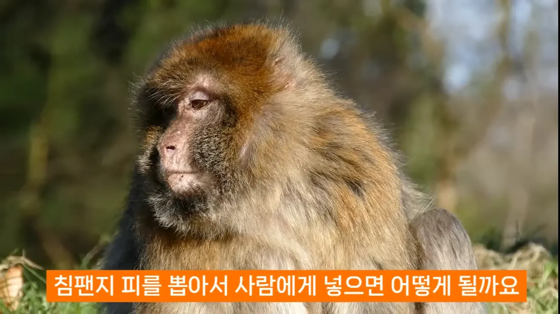20260818170433_JR1dJCgEm1.webp