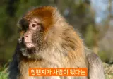 진화론을 믿지 않는 박진영