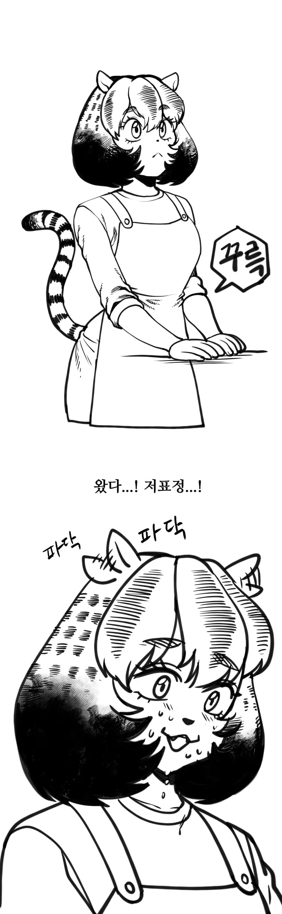 1800341ab584cbcbb.jpg