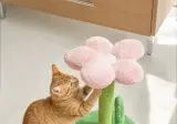 다이소 신상 고양이 스크래처