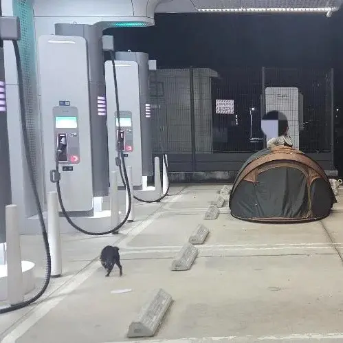 image.png 보배에 올라온 레전드 캠핑족 근황 ㄷㄷㄷㄷ...jpg