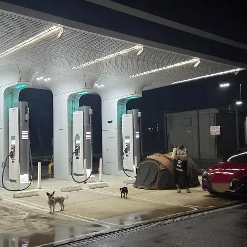 image.png 보배에 올라온 레전드 캠핑족 근황 ㄷㄷㄷㄷ...jpg
