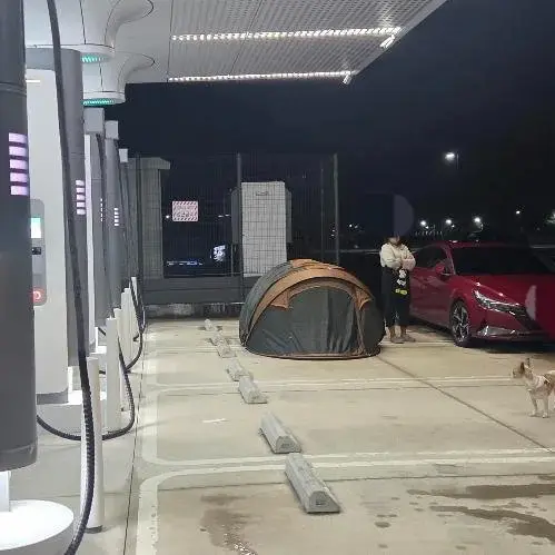 image.png 보배에 올라온 레전드 캠핑족 근황 ㄷㄷㄷㄷ...jpg
