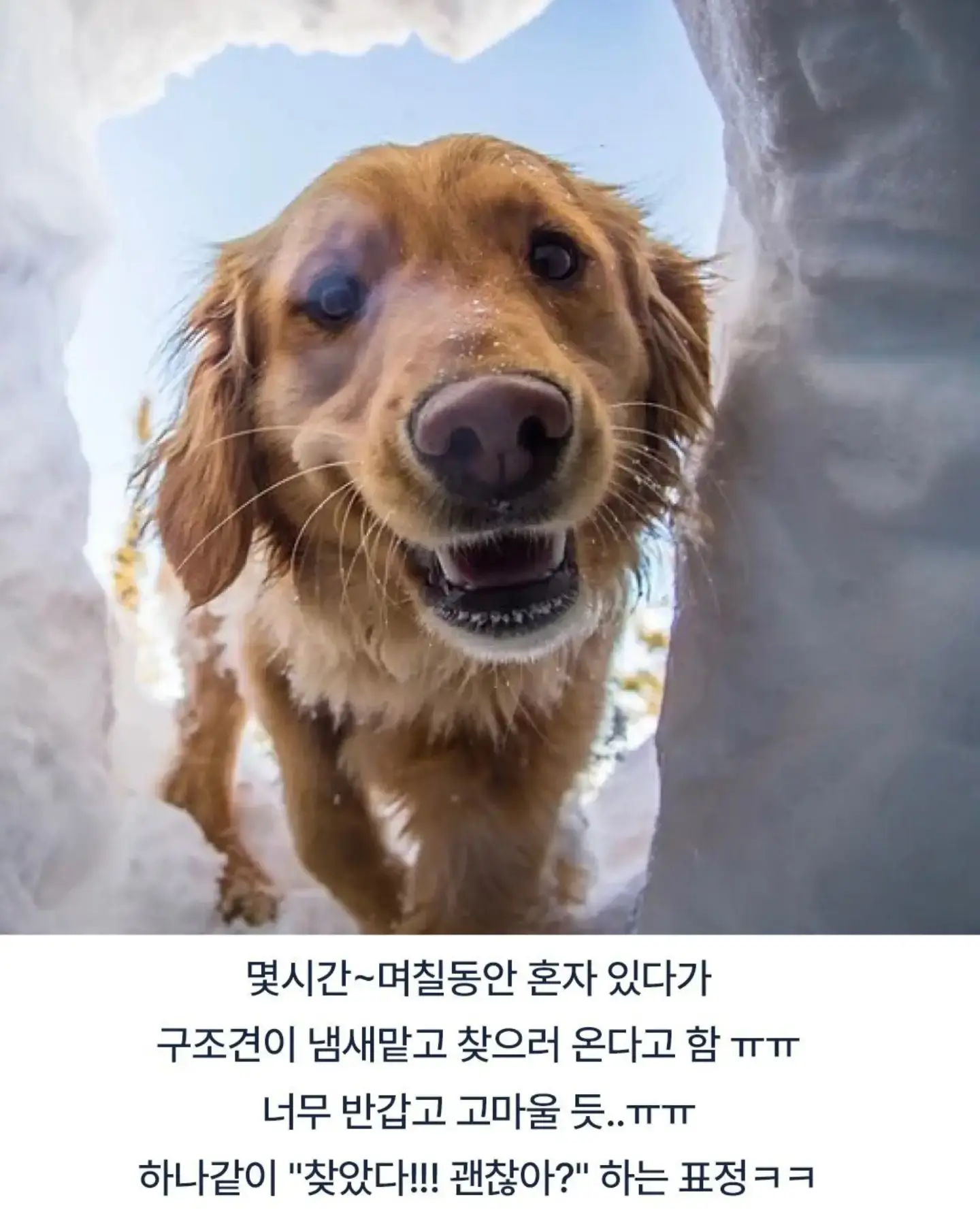 b8897f9d-ecf9-4103-9a2d-1a99095ab6ba_70690.webp
