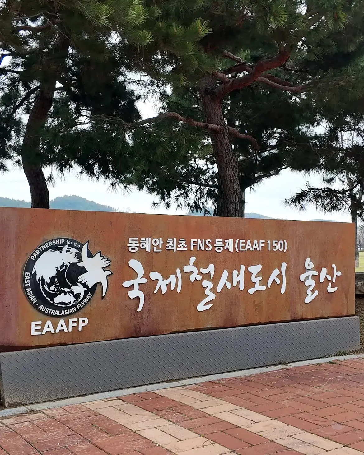 울산 태화강철새공원.jpg 국립 철새공원에 길고양이 집을 지어달라는 캣맘들.jpg