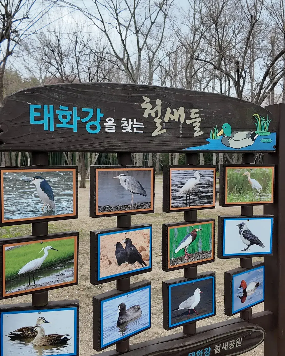 태화강철새공원.jpg 국립 철새공원에 길고양이 집을 지어달라는 캣맘들.jpg