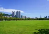 평지 공원이 얼마나 중요한지 아니까 용산 공원 보존 찬성하는거